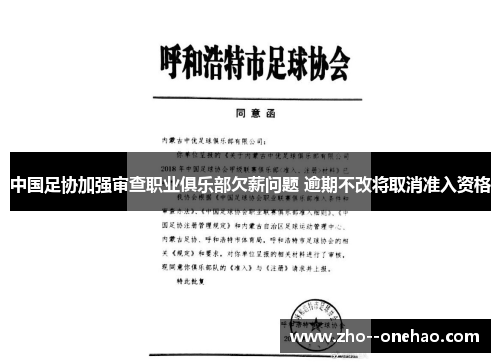 中国足协加强审查职业俱乐部欠薪问题 逾期不改将取消准入资格